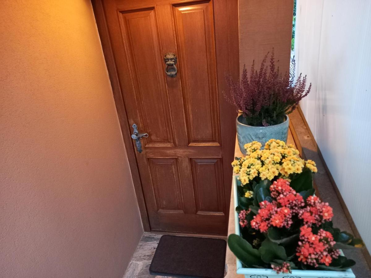 Ferienwohnung Blue Deer Umag Exterior foto